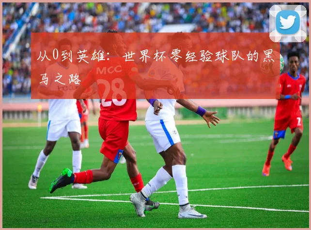 从0到英雄：世界杯零经验球队的黑马之路